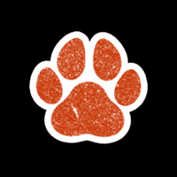 Dog Supergirl GIF by DC