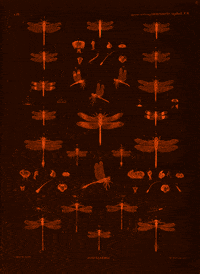 GIF by A.M.T.G. G.G.