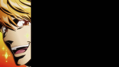 hunter x hunter the zodiacs GIF