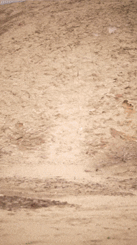 Star Wars Cosplay GIF