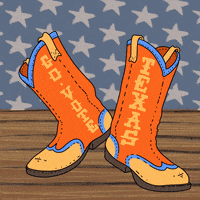 Texas Houston GIF by #GoVote