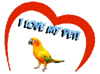 Guinea Pig Love Sticker