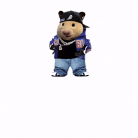 Nfl Hiphop GIF
