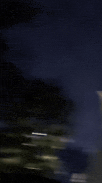 Toh GIF by thatcloudstudio