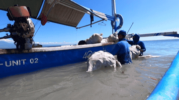 4Ocean