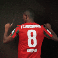 Bundesliga Ecuador GIF by FC Augsburg 1907