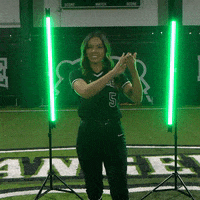 Parkside Softball GIF by Parkside Athletics