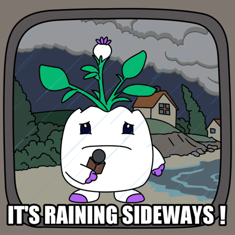 Storming Weather Report GIF by Magic Eden