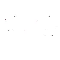 Celebrating Happy Birthday Sticker by dani samudio