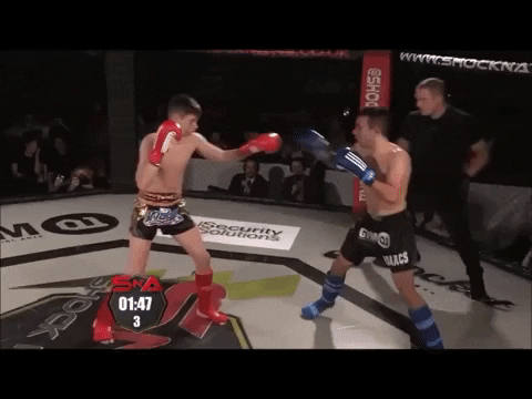 Knock Out Ko GIF by Gym 01 Portsmouth