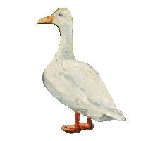 browndogfarmstudio art animals duck painting Sticker