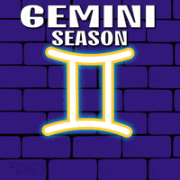 Zodiac Sign Penguin GIF by Pudgy Penguins