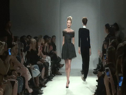 GIF by Great GIFs