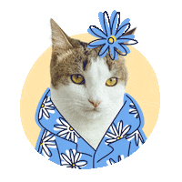 KoshPush party flower koshpush Sticker