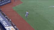 Gio Urshela Yankees GIF by Jomboy Media