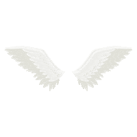Angel Wings Sticker by Baky Hospitality