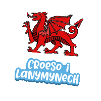 Ysgol Carreghwfa Sticker