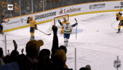 Happy National Hockey League GIF by NHL