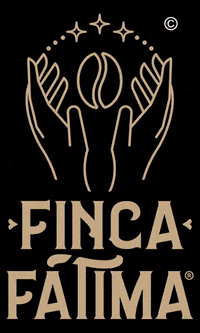 apgcoffee finca fincafatima fincacafetalera fincacafetera GIF