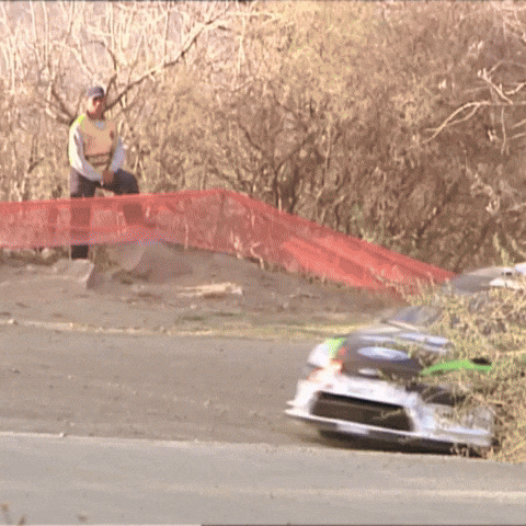 Ford Legend GIF by FIA World Rally Championship
