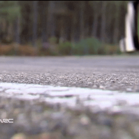 Ken Block Legend GIF by FIA World Rally Championship