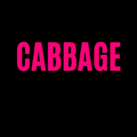 Cabbagepatchbakery cabbage cabbage patch cabbagepatch cabbage patch bakery GIF
