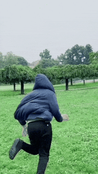 Go Home Running GIF