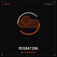 Computer Monitoring GIF by TEAM AF