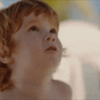 Entretenimiento Phg GIF by Palladium Hotel Group