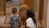 episode 9 dog GIF by The Bachelorette