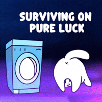Keeping It Together Lucky Break GIF by MESA My Emotional Support Animal
