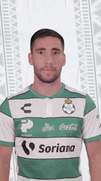 clubsantos  GIF