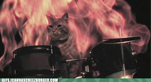 drums GIF by Cheezburger