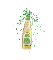 New Year Party Sticker by Somersby