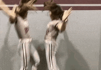 fhusoftball jump softball chestbump fhu GIF