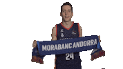 Liga Endesa Basketball Sticker by ACB