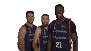 Liga Endesa Basketball Sticker by ACB
