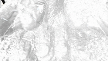 GIF by Miron