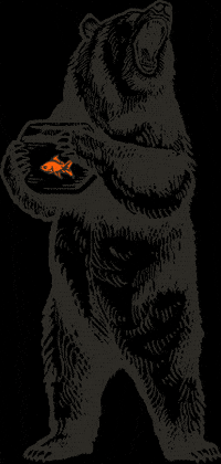 Kbear GIF
