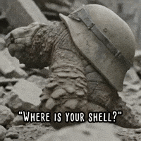 gray_turtle turtle helmet military sculpture GIF