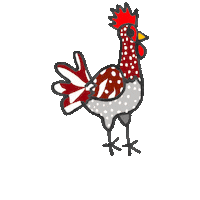Chicken Sticker