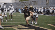 Army Football Yes GIF by GoArmyWestPoint