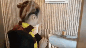 softpomz GIF