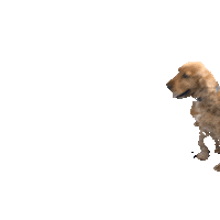 Mona Buruncuk Sticker by diesemona