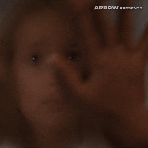 Friday The 13Th Film GIF by Arrow Video