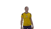 Happy Fridolina Rolfo Sticker by Swedish Football Association