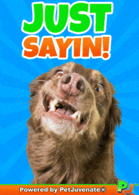 Im Just Sayin Truth Hurts GIF by PetJuvenate - PJ