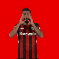 Celebrating Happy Birthday GIF by Bayer 04 Leverkusen