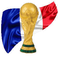 France Win Sticker