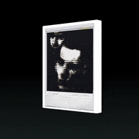 Art Morph GIF by Aleksey Efremov